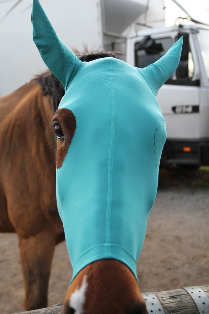 Kopf - Ohrenschutz ohne Augenausschnitt für Pferde