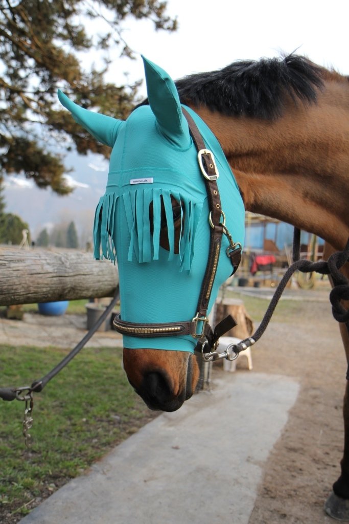 Kopf-Ohrenschutz mit Stirnfransen für Pferde